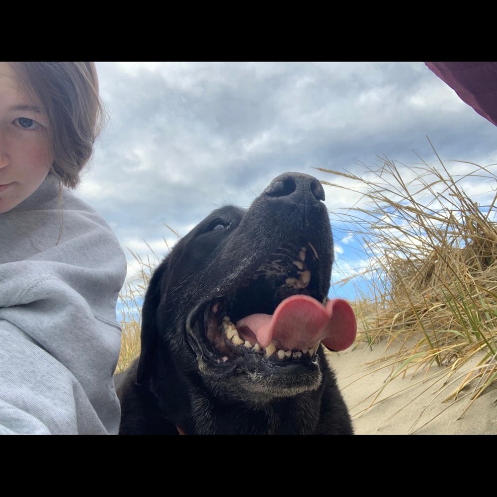 Meet your Posher, Carly